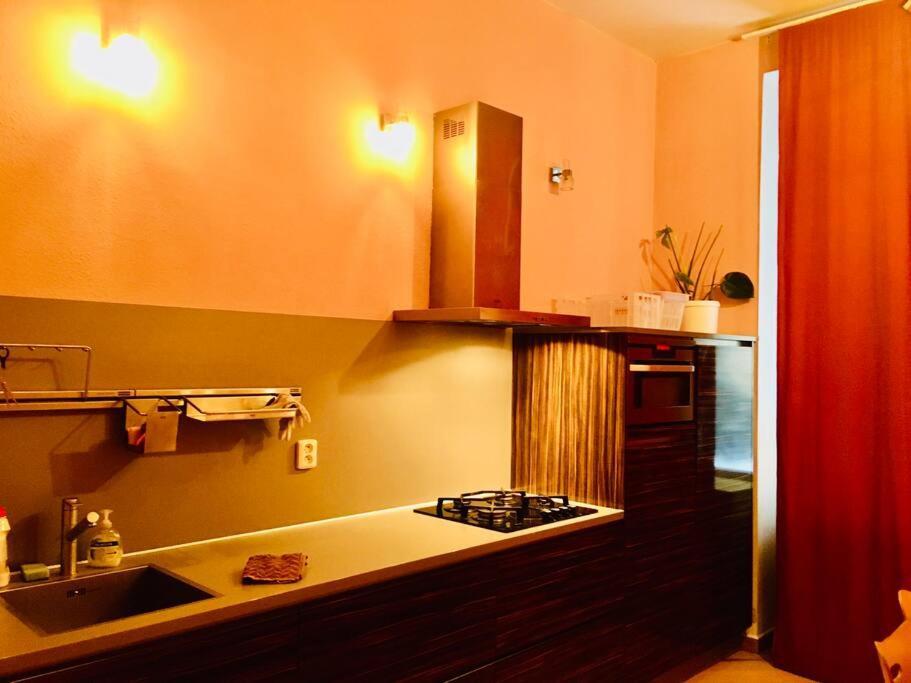 Hotel Apartment In Prague 2 Square المظهر الخارجي الصورة