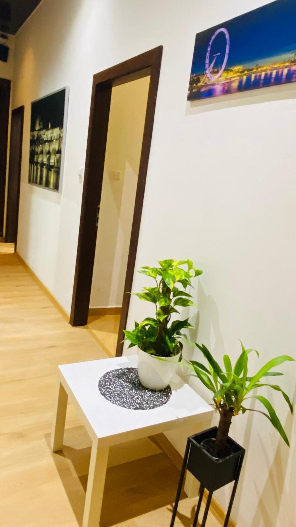 Hotel Apartment In Prague 2 Square المظهر الخارجي الصورة